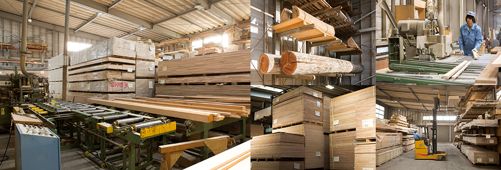 第一工場 ストック・乾燥・製材・木取り部門